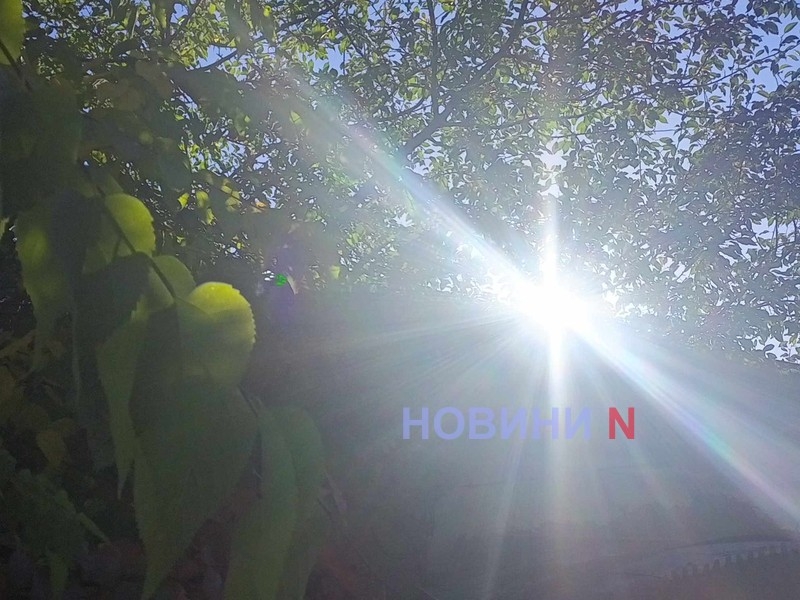 До +15° и порывы ветра: стало известно, какой будет погода в Николаеве и области 25 ноября