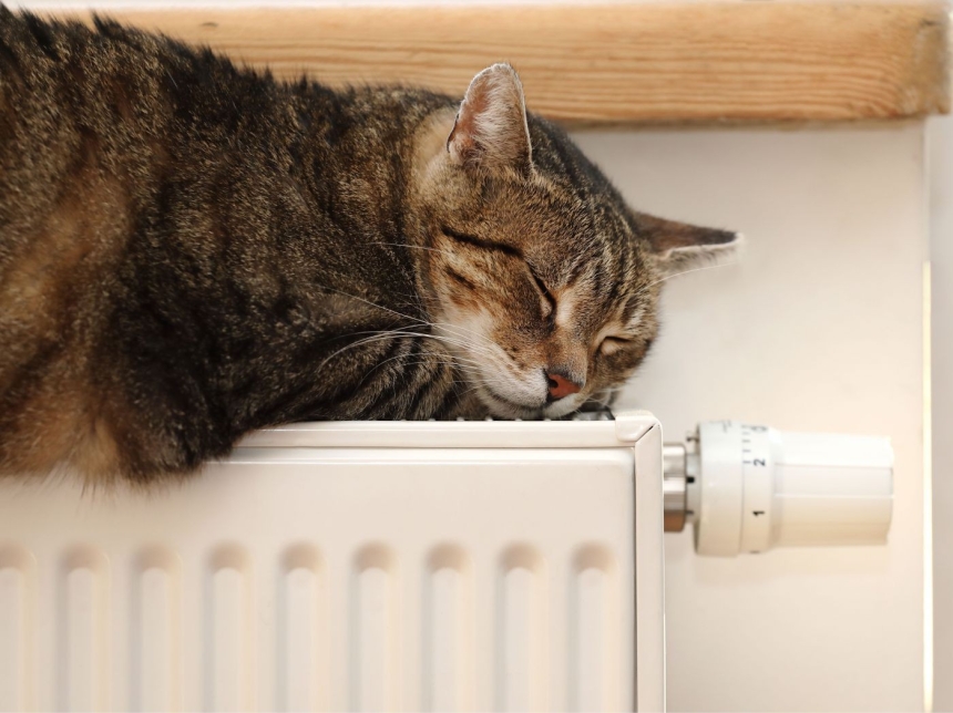 Ким намекнул, что ЕС помогает Николаеву создать независимую систему отопления