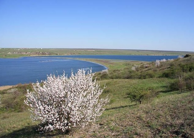 Присвоили более 200 тысяч гривен: в Николаевской области судили экс-руководителя парка