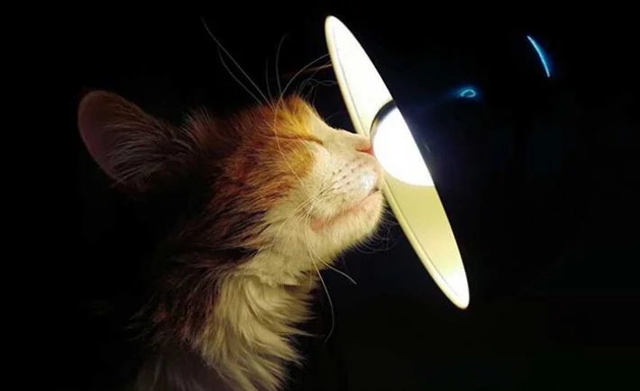 Отключение света в Николаеве и области: график на 25 ноября