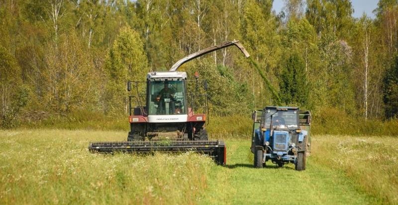 Самовільне захоплення землі: на Миколаївщині суд зобов'язав чоловіка виплатити понад 390 тисяч гривень