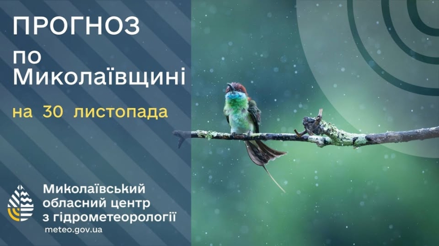 Яка погода буде у Миколаєві та області у неділю