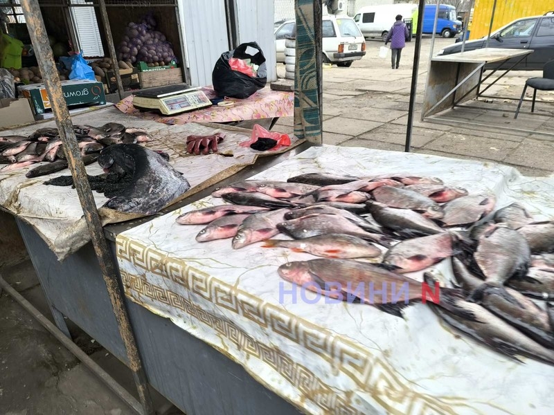 Актуальні ціни на ринку в Миколаєві: свіжі овочі, м\