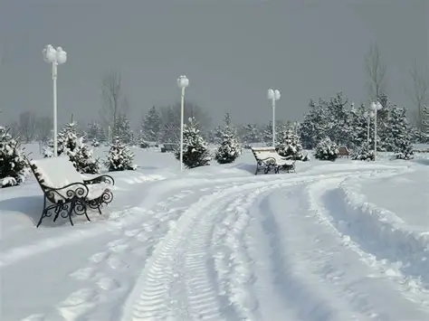 Що чекає на Україну в грудні: аналіз кліматичних умов від Укргідрометцентру