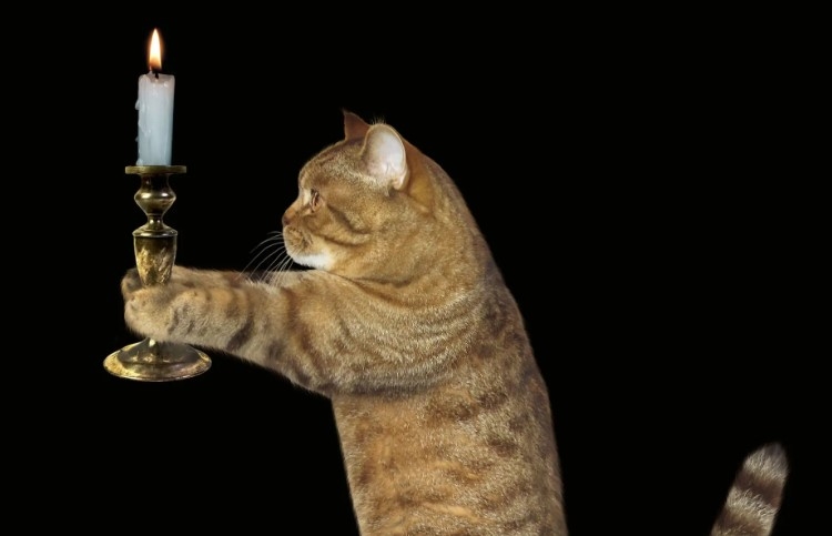 Отключение света в Николаеве и области: график на 1 декабря