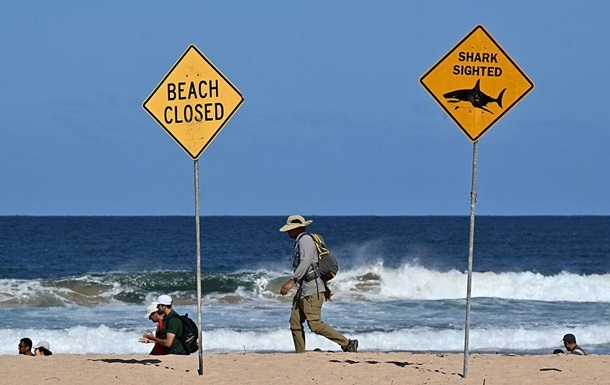 В Австралии акула напала на спортсменов