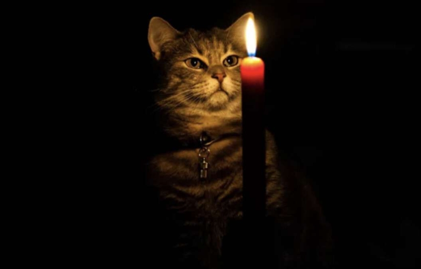 Отключение света в Николаеве и области на 2 декабря: появился график