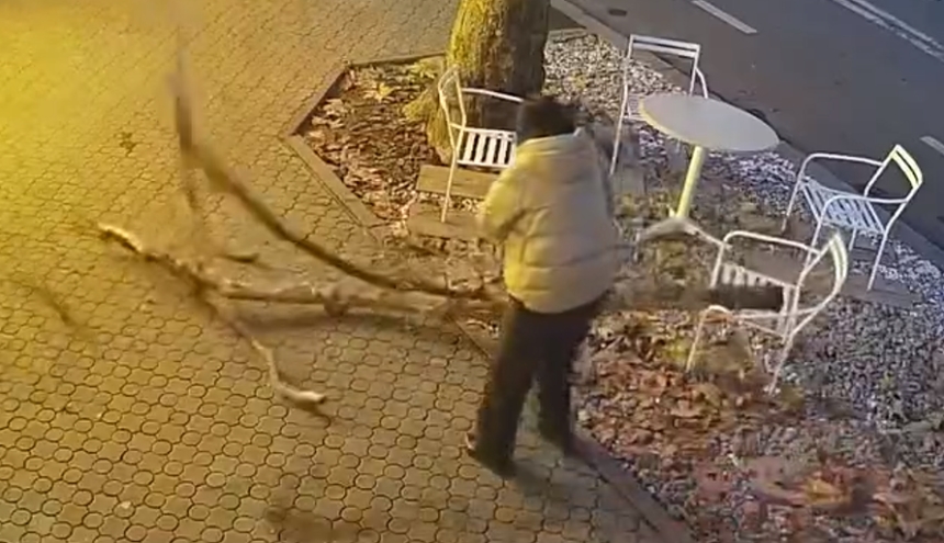 Ветви падают в центре Николаева прямо на головы жителям (видео)