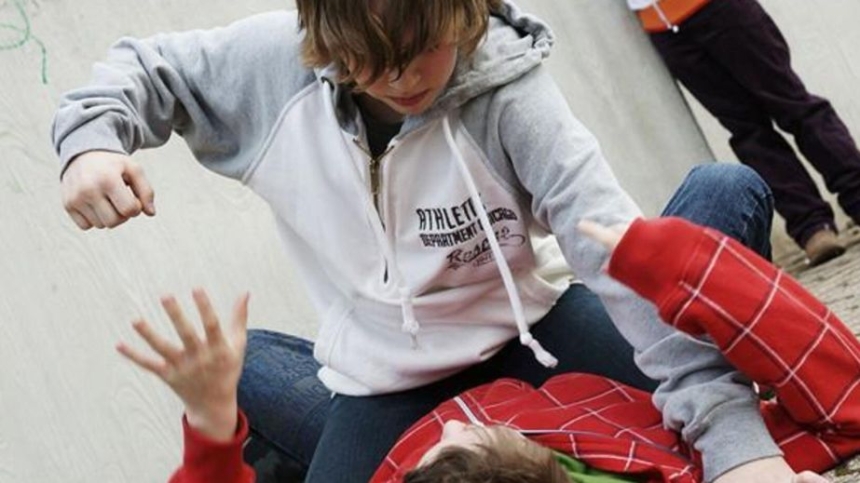 В Польше учитель называл украинских школьников «подонками», после чего их избили у школы