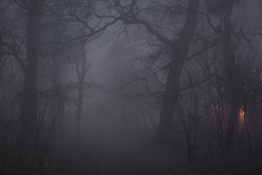 Ніч та ранок 4 грудня Миколаїв проведе в тумані, - синоптики