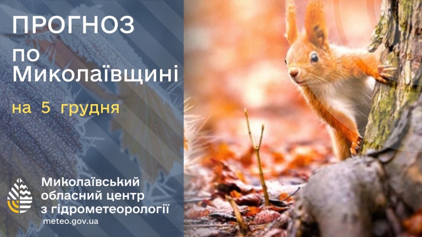 Какая погода будет в Николаеве и области в пятницу