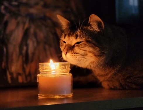 Як відключатимуть світло у Миколаєві та області: графік на 9 грудня