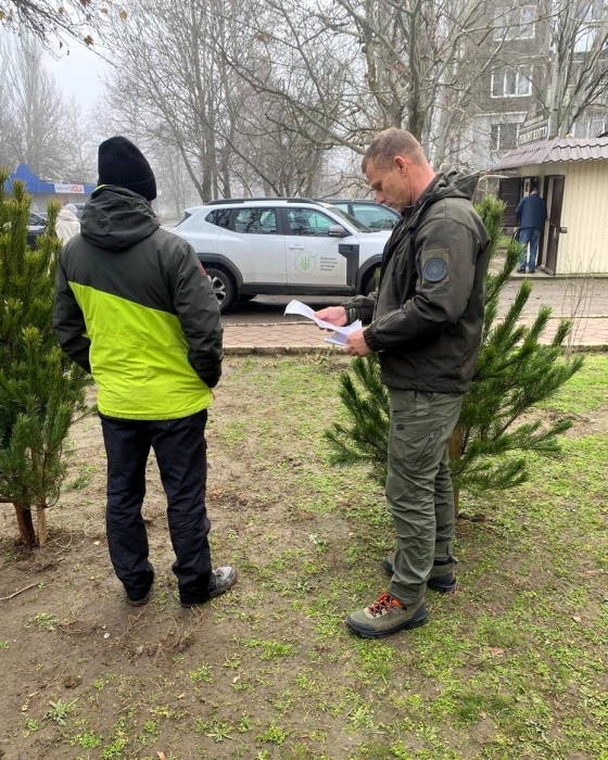 Передноворічний рейд у Миколаєві: виявили незаконний продаж ялинок