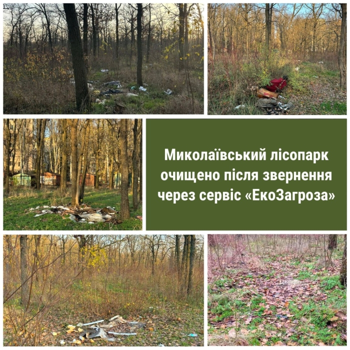 Лісопарк у Миколаєві перетворили на звалище: мешканці поскаржилися через «ЕкоЗагрозу»