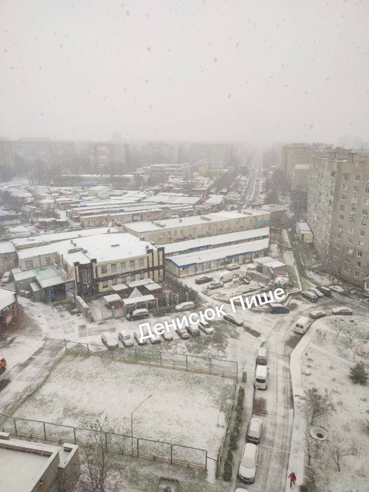 В Николаевской области выпал первый снег (видео)