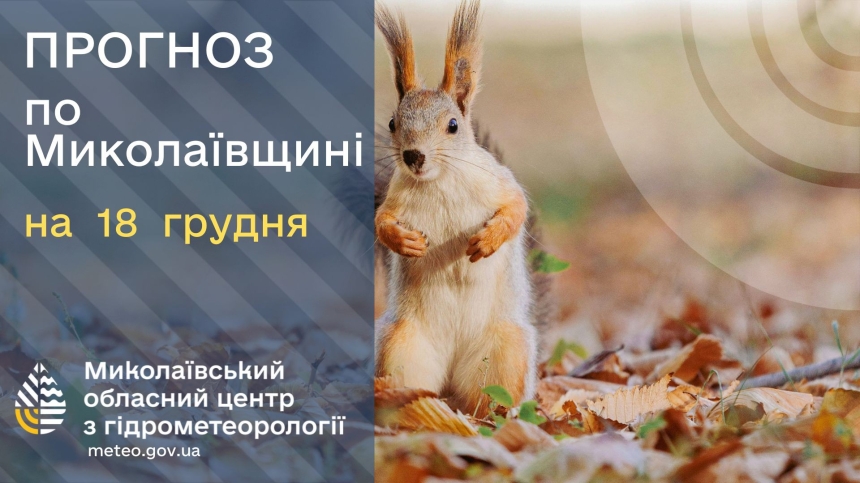 Какая погода будет в Николаеве и области в четверг