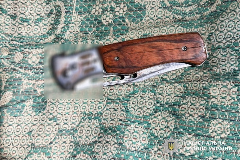 Николаевец пытался убить своего товарища во время застолья