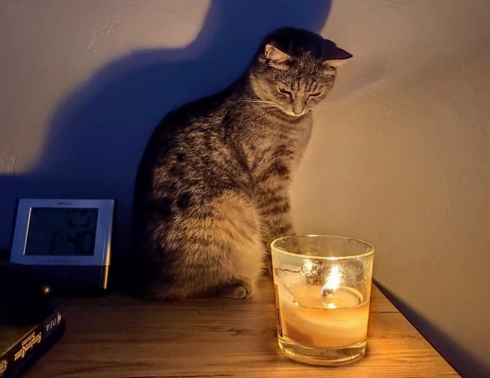 Планові роботи в Миколаєві: де не буде світла