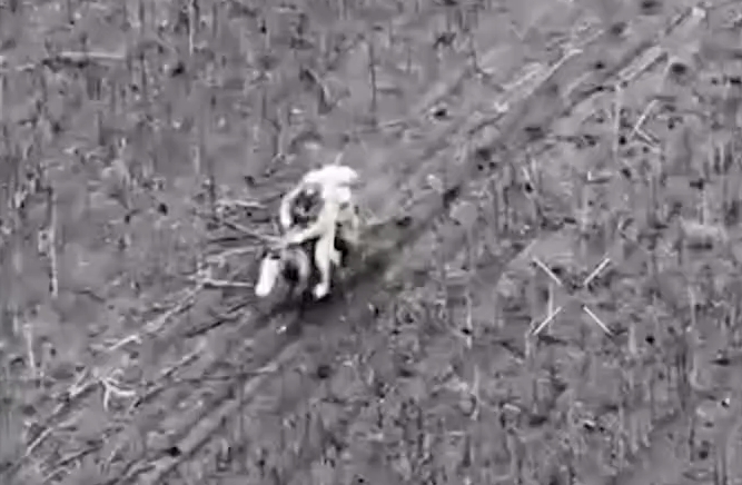 Російські військові пересіли на коней і намагаються штурмувати верхи (відео)