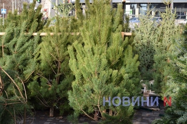 Фото иллюстрационное 