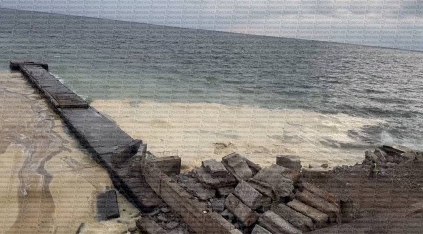 На одеських пляжах виявили нафтові плями та загиблих птахів