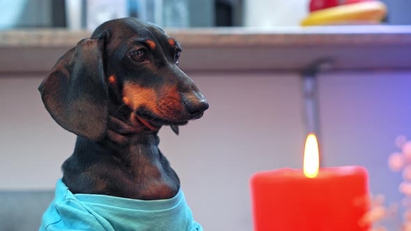 Как в Николаеве и области будут отключать свет: график на 25 декабря