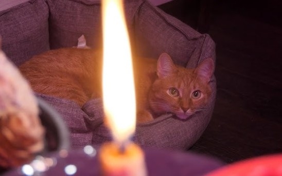 Света будет больше: график отключений в Николаеве и области на 26 декабря