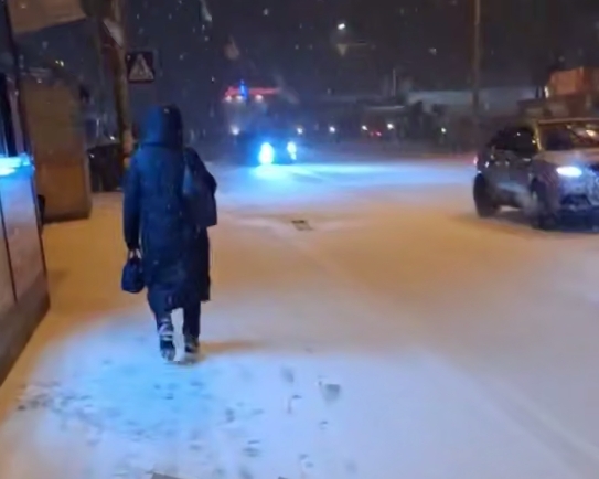 В Киеве пошел снег (видео)