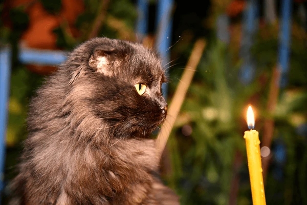 Отключение света в Николаеве и области: график на субботу