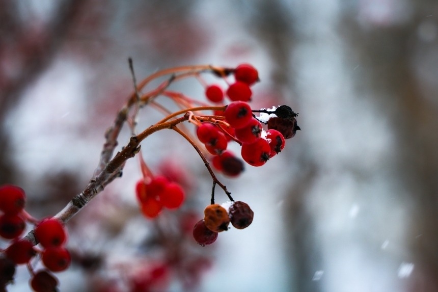 Вьюга, мороз и гололед: прогноз погоды в Николаевской области на воскресенье