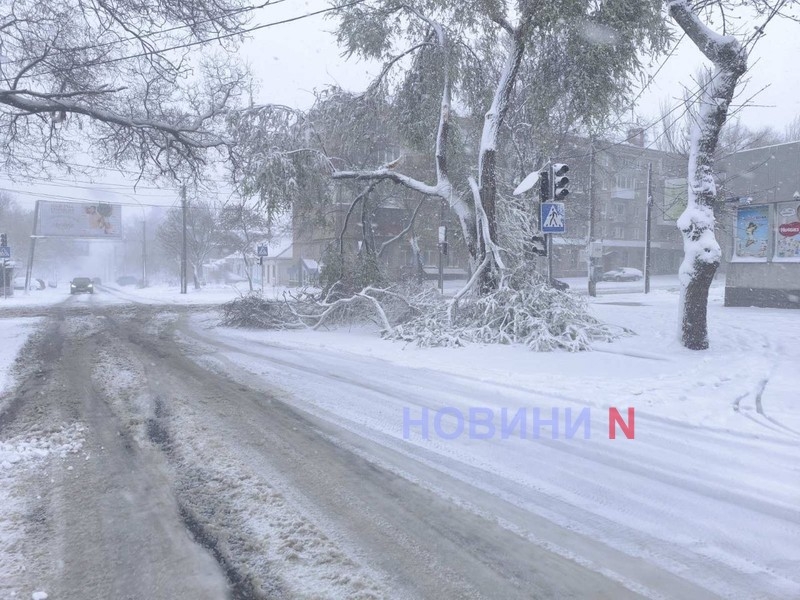 Фото ілюстраційне, з архіву Новин-N