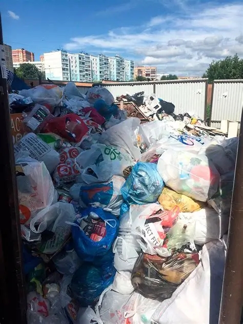 В Днепре растёт количество невывезенных отходов - мэр заявил, что виноваты уклонисты и переселенцы