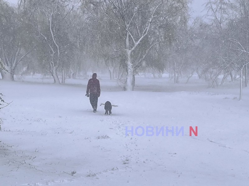 Фото ілюстраційне, з архіву Новин-N