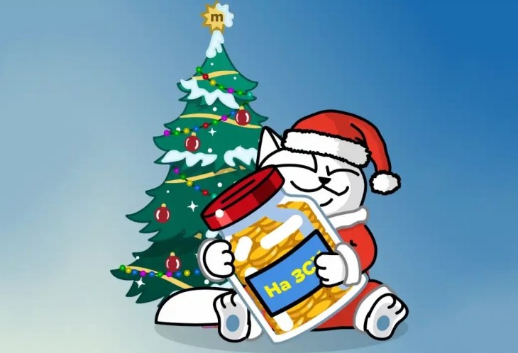 Почти 10 миллионов гривен собрали украинцы на ВСУ, тряся елку в «Монобанке»