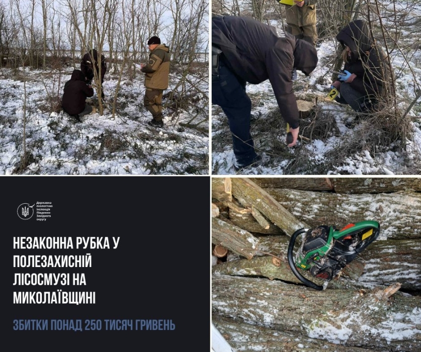 Нанесли ущерб более 250 тысяч гривен: экоинспекция выявила нарушения в Николаевской области