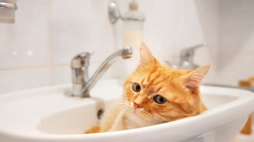 Де в Миколаєві сьогодні немає води (адреси)