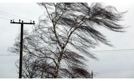 Николаевцев предупредили о порывах ветра
