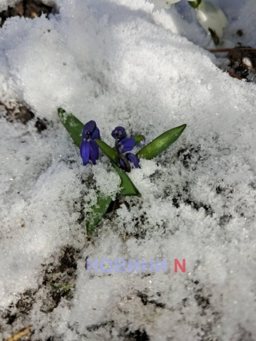 Фото ілюстраційне, з архіву Новин-N