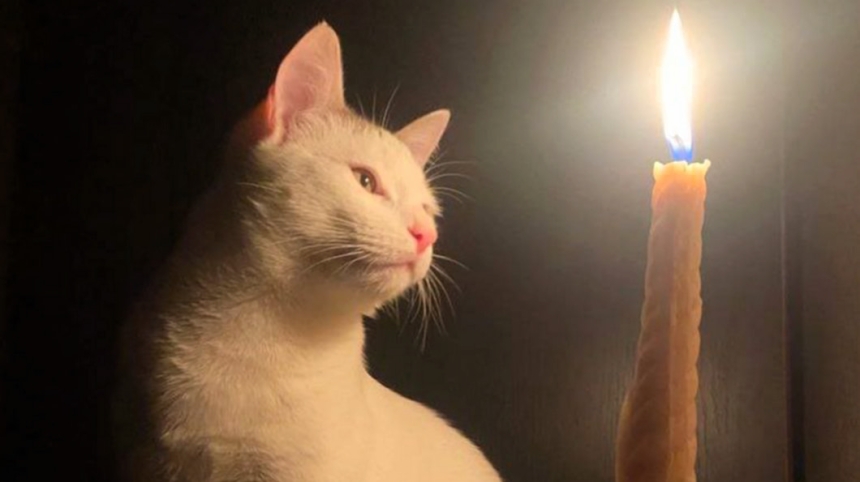 Как будут отключать свет в Николаеве и области 16 января