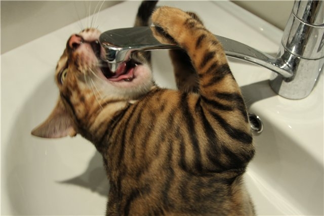 Часть микрорайона ЮТЗ в Николаеве осталась без воды