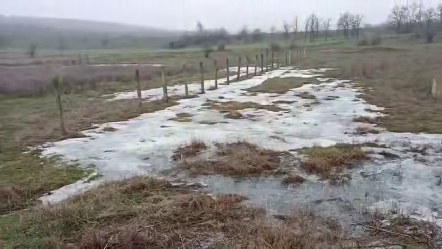 Опасные промышленные стоки обнаружили возле Доманевки (видео)