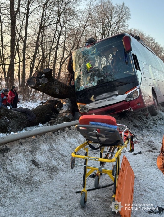 Слетел с дороги и врезался в дерево автобус «Вена-Киев»: есть пострадавшие (фото)