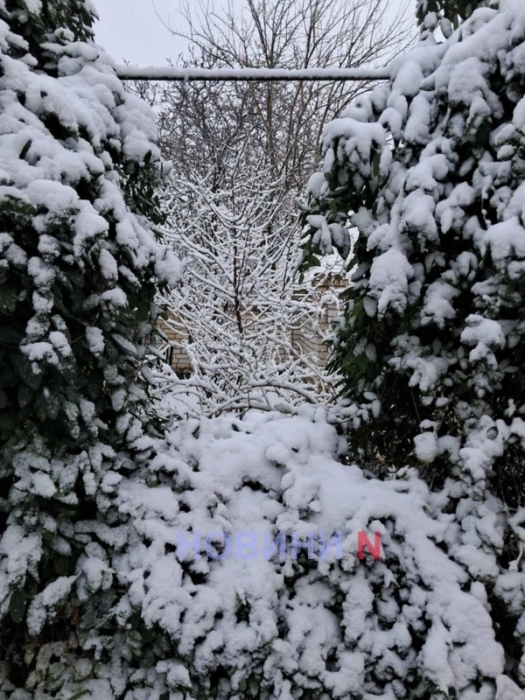 Сибирский антициклон лютует в Украине: минувшей ночью фиксировалось -23°