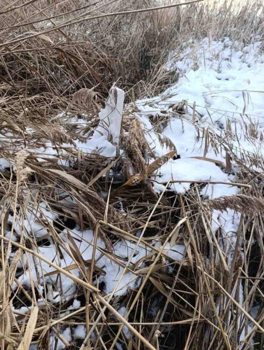 У Молдові мисливець знайшов російський дрон