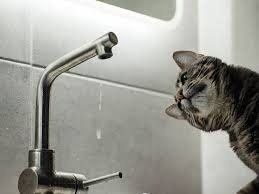 У частині Миколаєва тимчасово відключено водопостачання через аварію