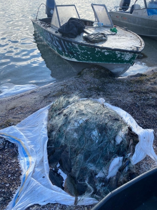 Браконьєр отримав рік обмеження волі та 1,3 мільйона штрафу за незаконну рибалку у Миколаєві