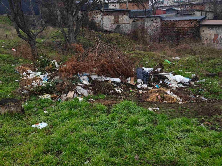 Зелену зону в Миколаєві перетворили на сміттєзвалище