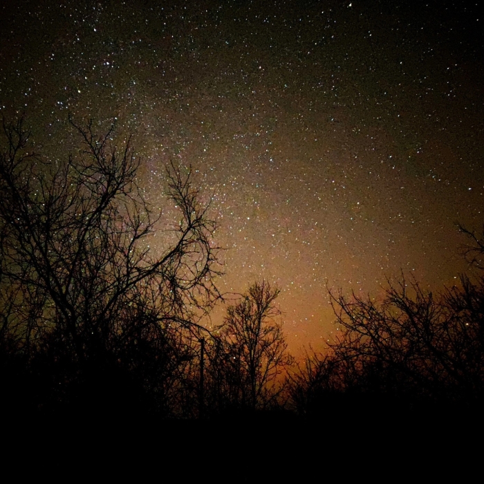 Північне сяйво сфотографували над Миколаєвом (фото)