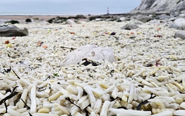 На пляжі в Англії шторм викинув тонни картоплі фрі та цибулі (фото)