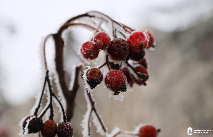 Зимняя сказка в Николаеве (фоторепортаж)